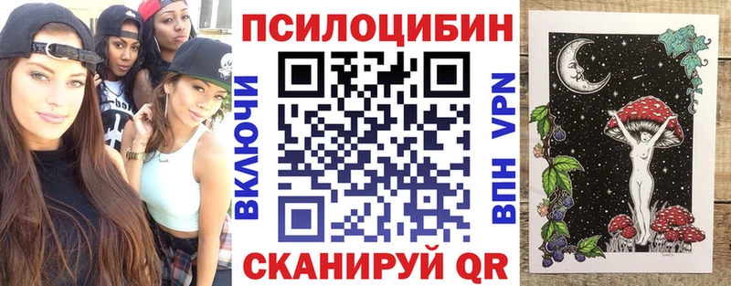 Псилоцибиновые грибы Cubensis  Нижневартовск 