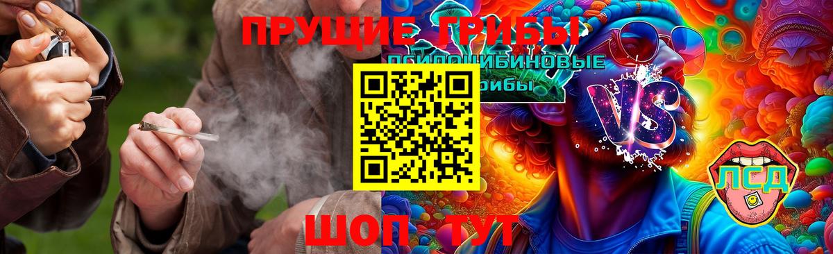Нижневартовск  Псилоцибиновые грибы Psilocybe  Вход с VPN  Галлюциногенные грибы ЛСД 